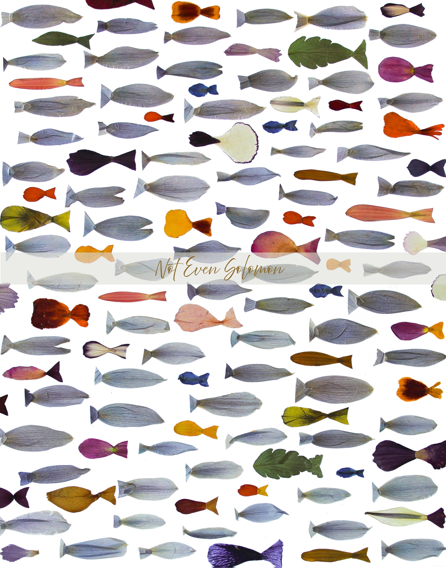 "TRANSFORMED FISH" FINE ART PRINT